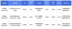 杭州土拍市場火熱：2024年