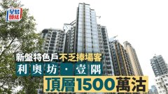 新盤特色戶不乏捧場客 利