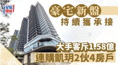 豪宅新盤持續獲承接 大手