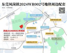 東莞一年僅供應70套別墅！