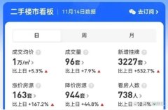 單日掛牌超3000套！限售取