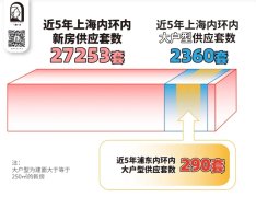 「陸家嘴太古源 源邸」樣
