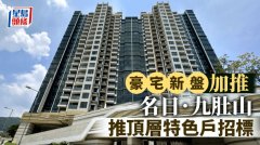 新盤(pán)豪宅加推 名日. 九肚