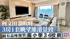 何文田灝畋峰 3房1套眺望