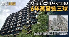 大圍薈蕎一房432萬蝕沽 