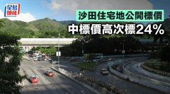 沙田住宅地公開標價 中標