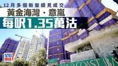 12月多個新盤續(xù)見成交 黃