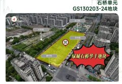 綠城石橋單元地塊項目面