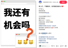 禪西環宇城推遲至12月28日