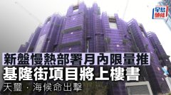 新盤慢熱部署月內限量推