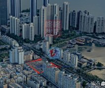總戶數(shù)395戶 蛇口望海玥家