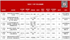 武漢12月房地產(chǎn)市場：宅地