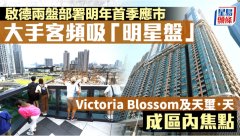 啟德兩盤部署明年首季應