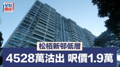 松栢新邨低層4528萬沽出