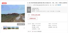 融創集團在青島土地拍賣