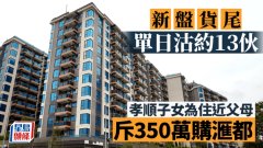 新盤貨尾單日沽約13伙 孝