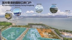 2025年深圳住宅市場：值得