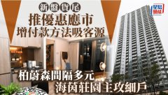 新盤貨尾推優(yōu)惠應(yīng)市 增加