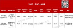 杭州迎來2025年首場宅地土