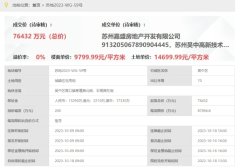 胥口純新盤規(guī)劃首次公示