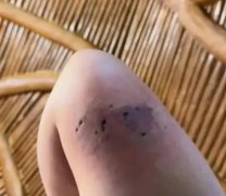 南通森林野生動物園酒店