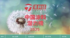 大寶仿石漆首次登上2025中
