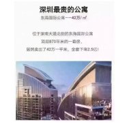 深圳東海國際公寓“5折”