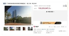 深圳億元豪宅法拍1.32億成