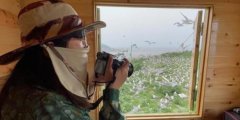 浙江300一天招守鳥人住海