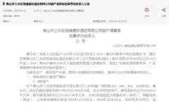 負債超4.95億！三水又一五