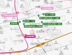 新楊思&北蔡：6 盤扎堆