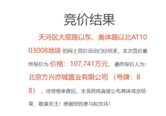 天河、番禺開年首拍吸金
